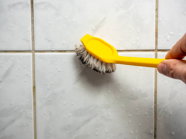 Best Preventive Mold Services in Grandview, WA